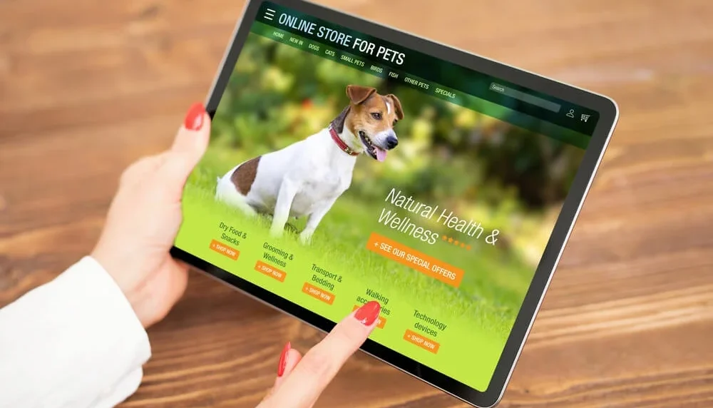 تولید محتوا پت شاپ برای هوش مصنوعی گوگل