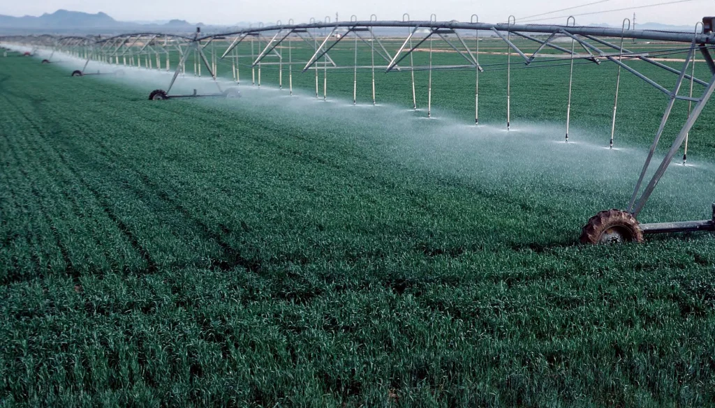 تولید محتوا کشاورزی در سایت بهتر است یا اینستاگرام